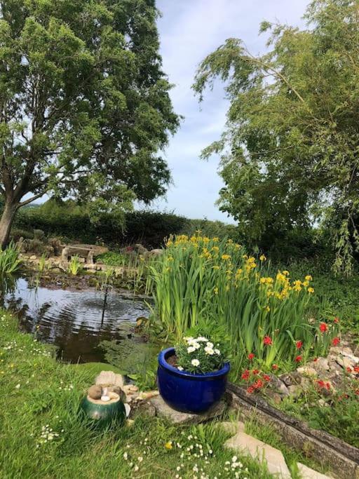 Beautiful Barn Conversion, 3 Bed, Hot Tub, Sauna, Gym, Enclosed Garden Ryde  Exterior foto